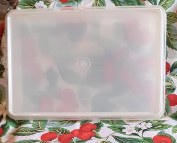 grand tupperware rectangulaire vintage 33x22x7 cm beschikbaar voor biedingen