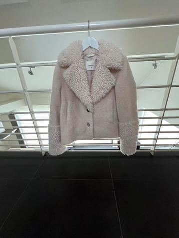 Nieuwe jas Beaumont beschikbaar voor biedingen