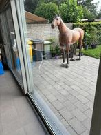 Paard in kunststof op ware grootte, Dieren en Toebehoren, Paarden