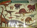 Educatieve poster dinosaurussen, Dier of Natuur, Rechthoekig Liggend, Gebruikt, Ophalen of Verzenden