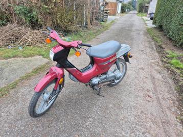 A vendre Honda wallaroo deluxe classe b bordeaux d origine, Enlèvement, Utilisé