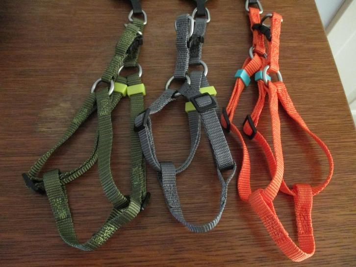 hondenharnas (tuig), Dieren en Toebehoren, Overige Dieren-accessoires, Nieuw, Ophalen of Verzenden