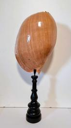Grande coquille de melon/coquille de melon sur support., Enlèvement ou Envoi, Comme neuf