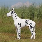 Great Dane beeld – Deense Dog- Lengte 124 cm, Ophalen, Nieuw