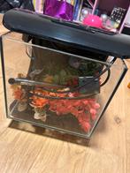 Aquarium met accessoires en planten, Ophalen, Zo goed als nieuw