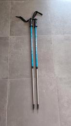 Telescopische wandelstokken, Sport en Fitness, Bergsport en Wandelen, Ophalen, Gebruikt