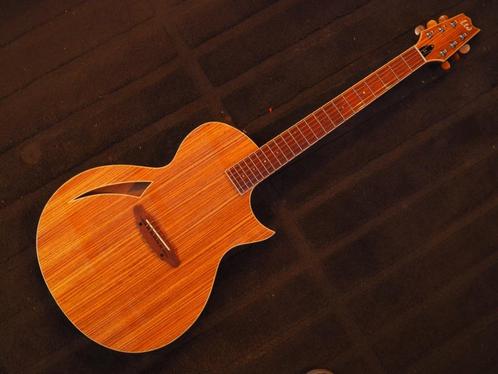 ESP LTD TL-6Z, Muziek en Instrumenten, Snaarinstrumenten | Gitaren | Akoestisch, Zo goed als nieuw, Overige typen, Met (piezo-)element