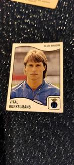 Panini/Sticker/Vital Borkelmans/Club Brugge/Football '90, Verzamelen, Verzenden, Zo goed als nieuw, Poster, Plaatje of Sticker