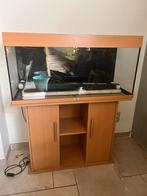 Aquarium Juwel, Animaux & Accessoires, Poissons | Aquariums & Accessoires, Comme neuf, Enlèvement ou Envoi, Aquarium vide