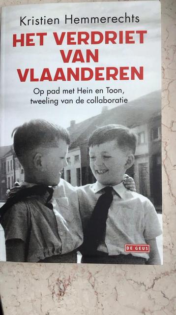 Het verdriet van Vlaanderen / boek collaboratie wo 2  beschikbaar voor biedingen