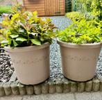 2 Bloembakken met hortensia, Jardin & Terrasse, Pots de fleurs, Comme neuf, Synthétique, 25 à 40 cm, Jardin