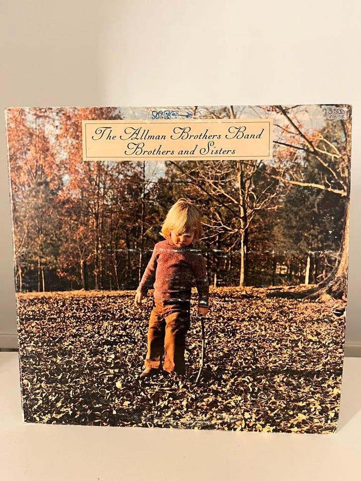 LP lot - Southern Rock (11 lp’s), Cd's en Dvd's, Vinyl | Rock, Gebruikt, 12 inch, Ophalen of Verzenden