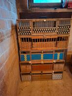 6 grote duivenmanden, Dieren en Toebehoren
