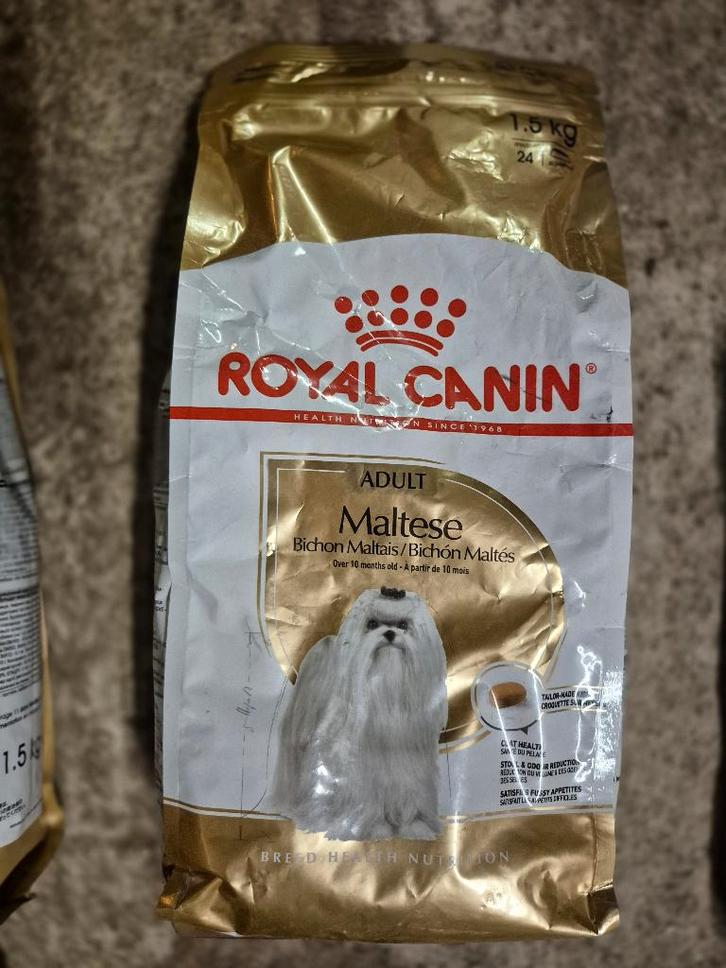 Royal Canin Maltese adulte 1,5 kg Geel, Bruxelles, Putte, Animaux & Accessoires, Nourriture pour Animaux, Chien, Enlèvement ou Envoi