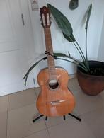 Gitaar Alhambra c3, Enlèvement