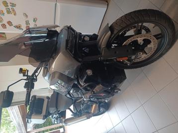 Harley davidson pan america 2022 Ruilen  beschikbaar voor biedingen