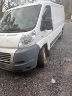 Fiat Ducato, Autos, Achat, Boîte manuelle, Diesel, Particulier