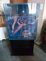 Terrarium neuf avec accessoires, Enlèvement ou Envoi