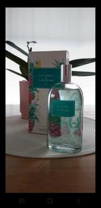 Aguas de Victorio & Lucchino N9 Pasion Tropical 150 ml, Ophalen, Nieuw