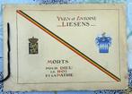Hommage aux soldats  Yvan et Antoine Liesens de Tamines., Verzenden, Landmacht, Boek of Tijdschrift