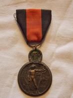ABBL IJzermedaille 1914-1918 (B), Verzamelen, Ophalen of Verzenden, Landmacht, Lintje, Medaille of Wings