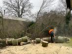 Gedroogd Brandout te koop, Tuin en Terras, Brandhout, Ophalen