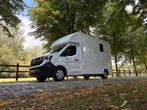 LEHEL BY HTI Renault Master paardencamionette, Ophalen, Nieuw, Aluminium, 2-paards trailer