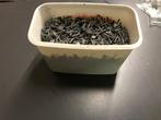 Gegalvaniseerde nagels., Ophalen of Verzenden, Nieuw