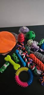 Lot de jouets neufs pour chiots., Enlèvement ou Envoi