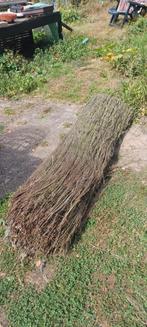 Heidematten voor tegen draadomheining, Tuin en Terras, Ophalen, Gebruikt, 200 cm of meer, 150 tot 200 cm
