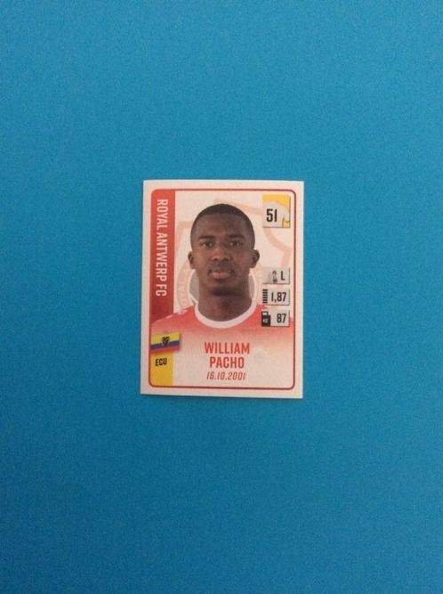 Panini Sticker William Pacho - Antwerp - Pro League  2022-23, Verzamelen, Stickers, Nieuw, Ophalen of Verzenden