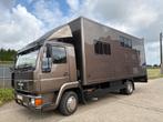 MAN paardenvrachtwagen - Mooi, comfortabel en veilig op weg, Dieren en Toebehoren, Paarden en Pony's | Trailers en Aanhangwagens