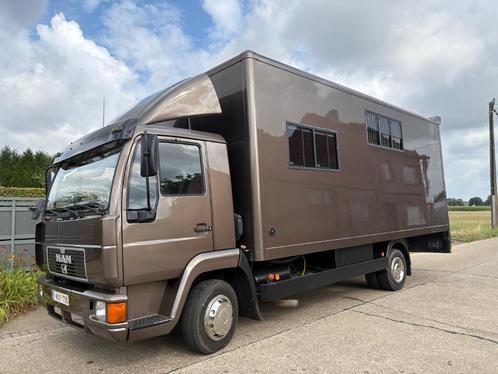 MAN paardenvrachtwagen - Mooi, comfortabel en veilig op weg, Dieren en Toebehoren, Paarden en Pony's | Trailers en Aanhangwagens