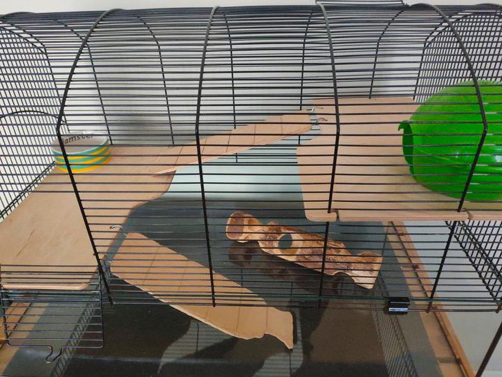 Grande cage pour gerbille ou hamster avec roue en bois !, Dieren en Toebehoren, Knaagdieren en Konijnen | Hokken en Kooien, Kooi