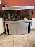 Aquarium, Ophalen, Nieuw