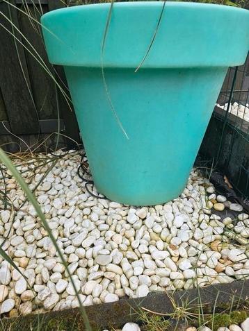 leuke bloempot met licht beschikbaar voor biedingen