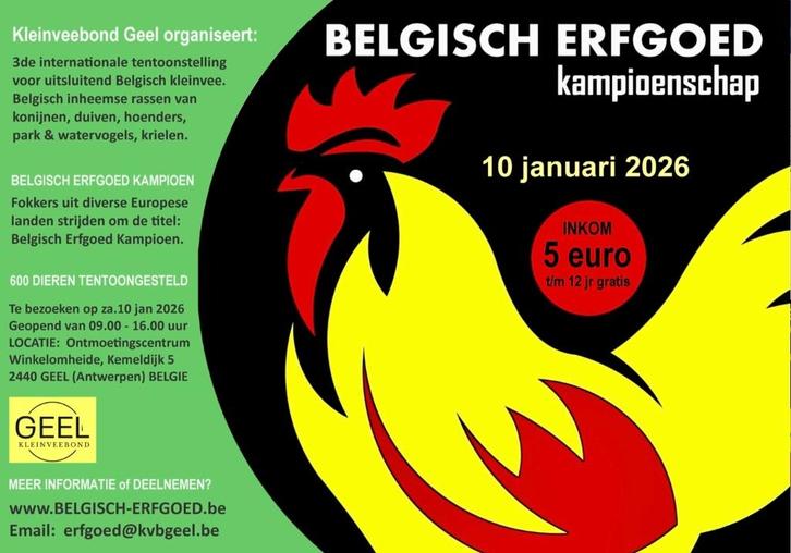 Belgisch Erfgoed Kampioenschap tentoonstelling kleinvee, Dieren en Toebehoren, Pluimvee, Kip, Geslacht onbekend
