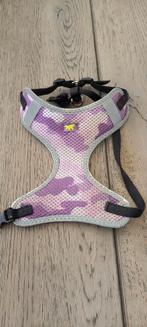 Halsband, Animaux & Accessoires, Colliers & Médailles pour chiens, Enlèvement, Comme neuf