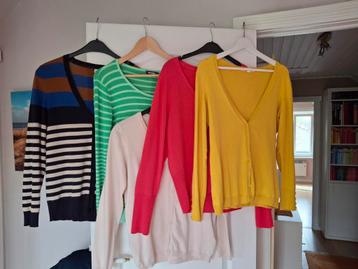 5 leuke dames gilets maat M/L samen voor 25 € beschikbaar voor biedingen