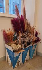 Totaalpakket pampasgras, stipas en droogbloemen - Decoratie, Ophalen, Zo goed als nieuw