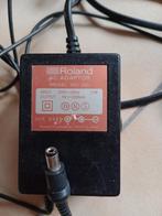 Roland ACI 220. Vintage., Muziek en Instrumenten, Effecten, Ophalen of Verzenden, Gebruikt, Delay of Echo