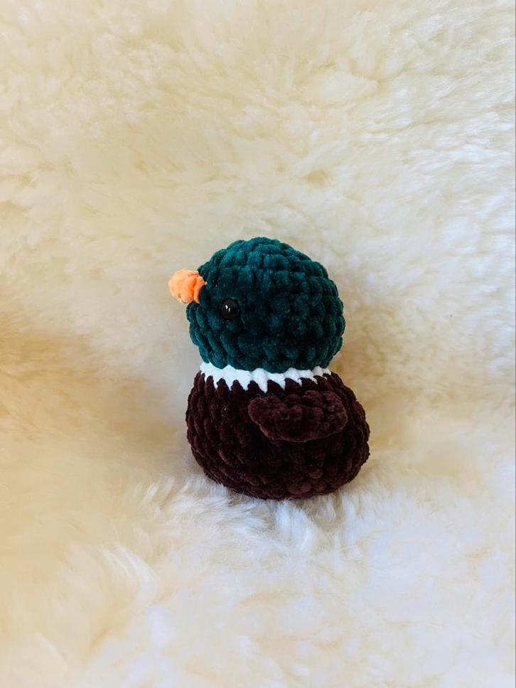 Groene bad-eend, Kinderen en Baby's, Speelgoed | Knuffels en Pluche, Nieuw, Eend, Ophalen of Verzenden