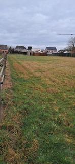 privé paardenstal met aanpalende weide te huur, Weidegang, 1 paard of pony