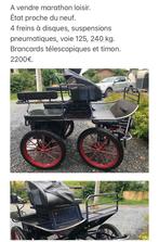 Calèche marathon loisir, Animaux & Accessoires, Voitures & Carrosses, Comme neuf, Calèche marathon, Cheval, Fermé(e)