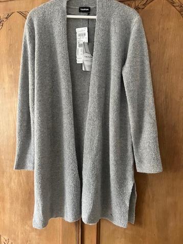 Nieuw grijs vest Taifun 38 met kaartje aan, Kleding | Dames, Maat 38/40 (M), Nieuw, Ophalen of Verzenden, Taifun