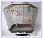 Savic vogelkooi, Ophalen, Gebruikt, Metaal, Vogelkooi