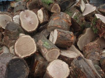 BOIS DE CHAUFFAGE rondins à refendre beschikbaar voor biedingen