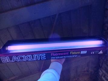 Tube UV 60cm lumière noire - Blacklight  beschikbaar voor biedingen