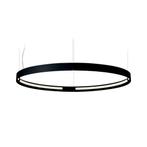2x cirkelvormige pendel led verlichting loft, Ophalen