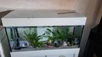 Aquarium, Dieren en Toebehoren, Ophalen, Gebruikt, Leeg aquarium